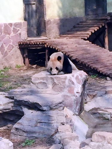 上海動物園