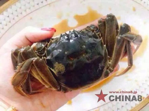 酔っ払い上海蟹