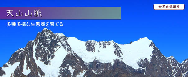 新疆天山 新疆天山