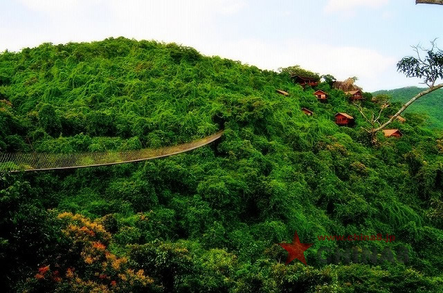 鳥の巣リゾート村