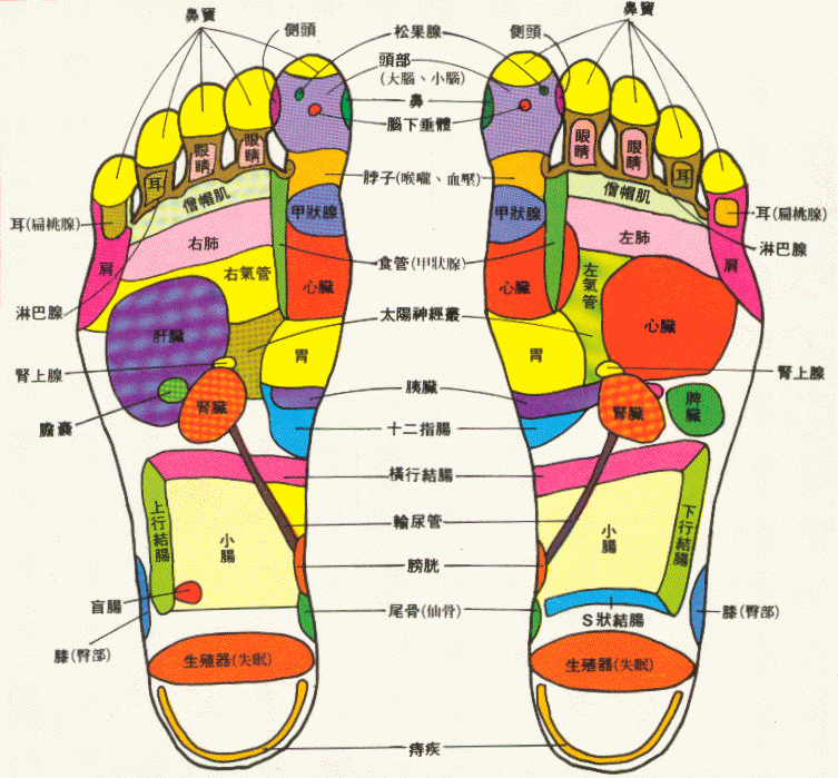 中国式全身or足つぼマッサージ