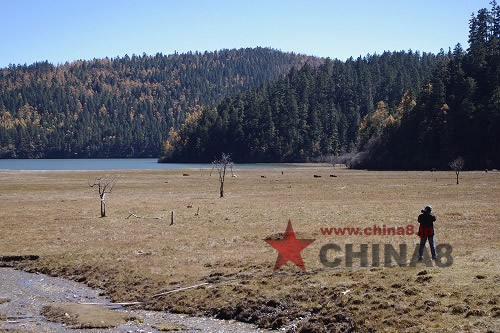 シャングリラ観光Ｃ　普達措国家公園・松賛林寺・ナパ海