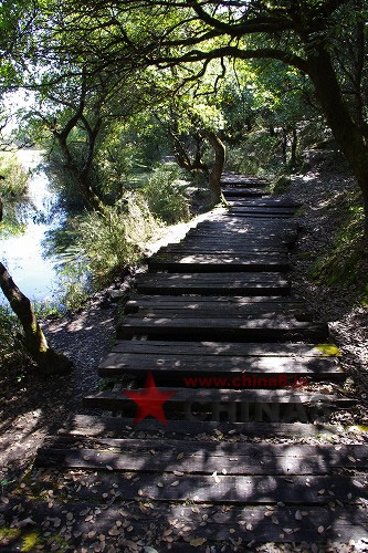 トンパ文化発祥の地「白水台」を訪れる旅