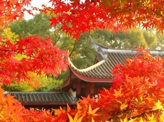 紅葉＆上海蟹！！CHINA8特別企画の蘇州日帰りツアー