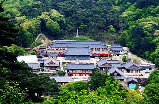 【武威市発】　武威市１日観光 　海蔵寺•天仏寺石窟•文廟