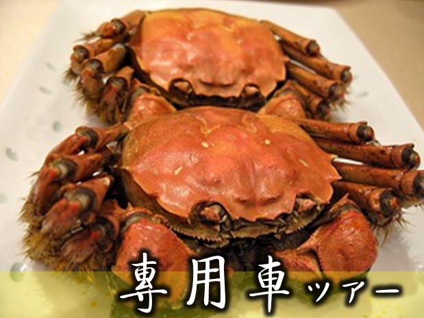 上海市内終日定番観光＋上海ガニの全席料理