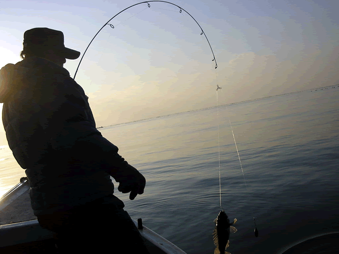 南海の大海原で船上フィッシング