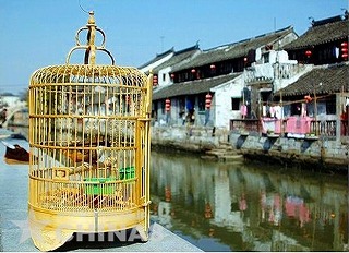 楓涇：上海郊外の水郷古鎮