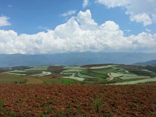 東川紅土地の棚田と油菜花！