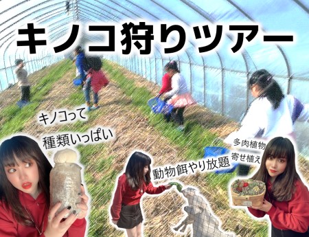 キノコ狩りツアー